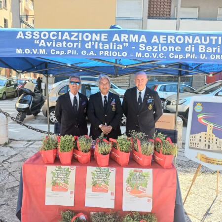 AAA Bari
